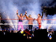 bulldog bret hart